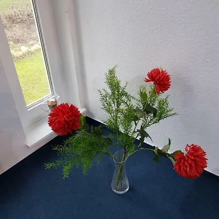 Da Apartman *